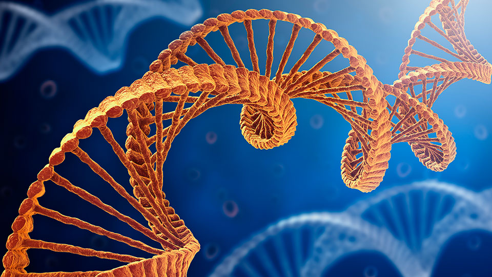 Ilmuwan Polandia menemukan gen yang menggandakan risiko COVID-19 serius GMA News Online