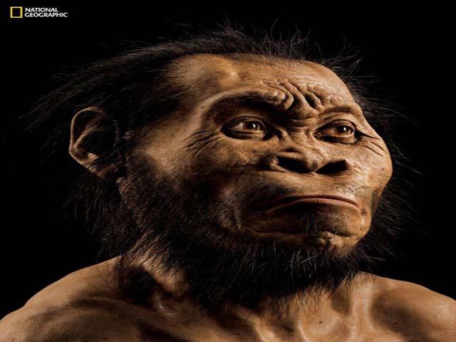 New Species Of Ancient Humans Found – HFZA