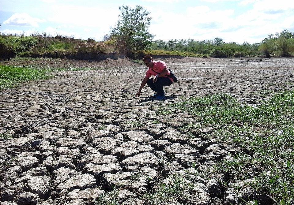 7 ektaryang gulayan sa Dumaguete City, nalalanta dahil sa El Niño | GMA