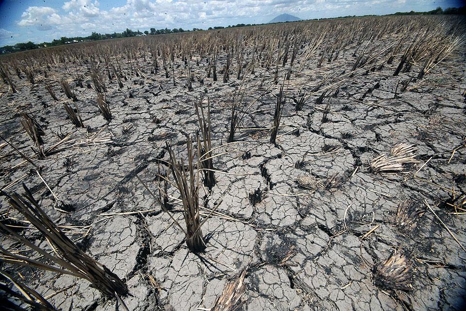 El Niño to affect over 70 provinces in next 3 months — task force