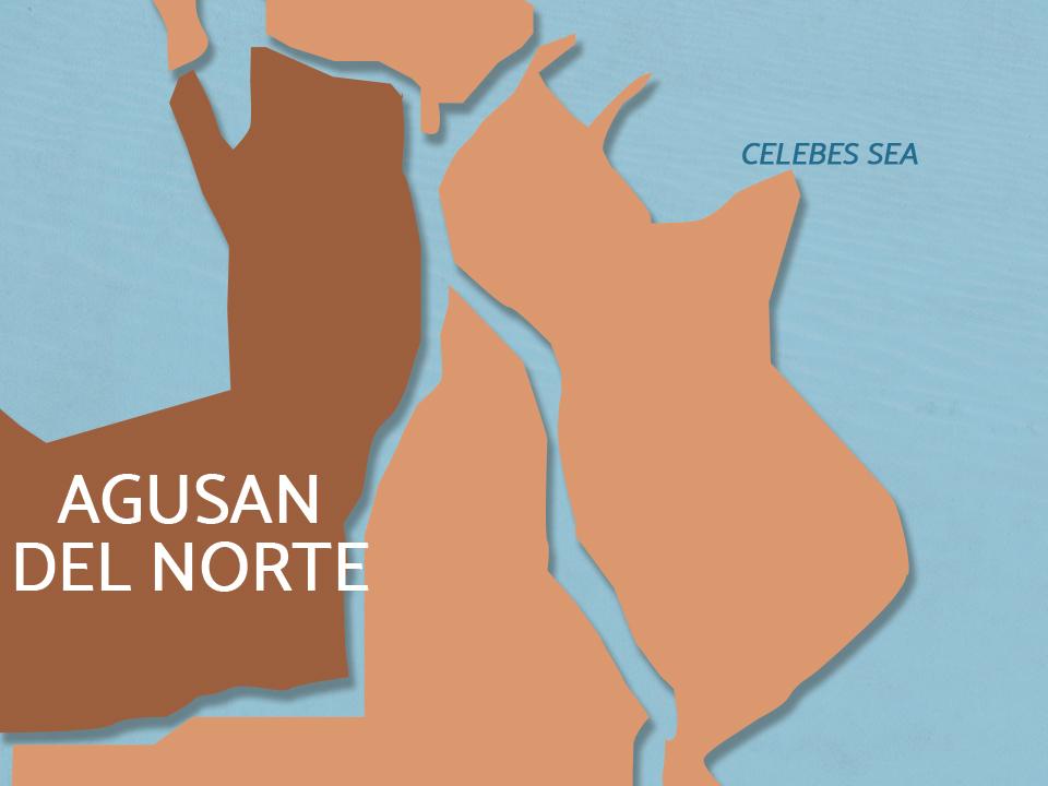 Alleged top NPA leader in Caraga killed in armed encounter, says military