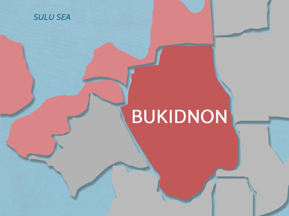 2 tersangka pemberontak komunis tewas dalam bentrokan Bukidnon –militer GMA News Online