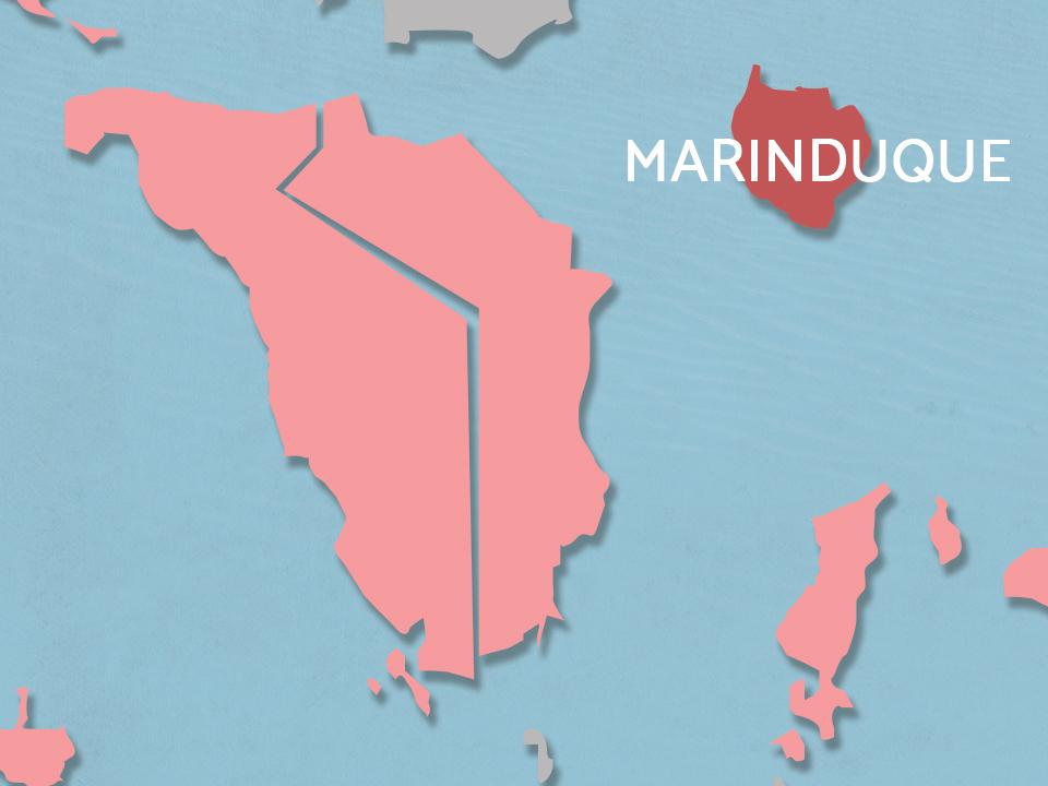 2 towns in Marinduque under state of calamity due to rabies cases