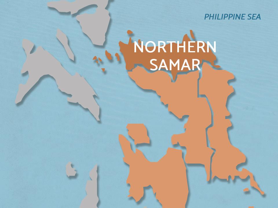 2 cops killed in Northern Samar encounter with illegal loggers 