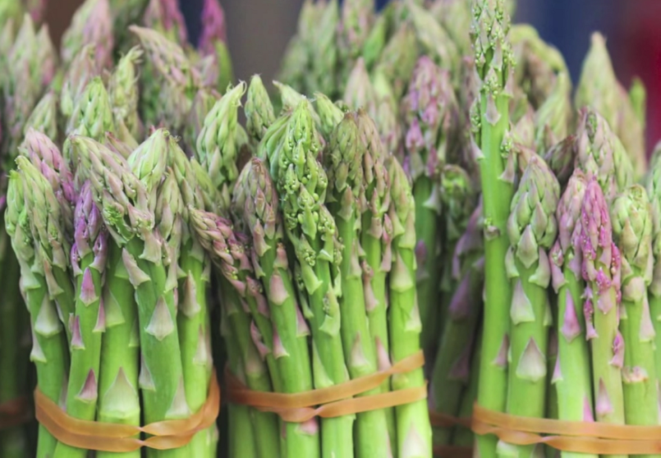 Scientists Sniff Out Answer To Asparagus Pee Mystery GMA News Online   Untitled 2016 12 14 19 32 47 