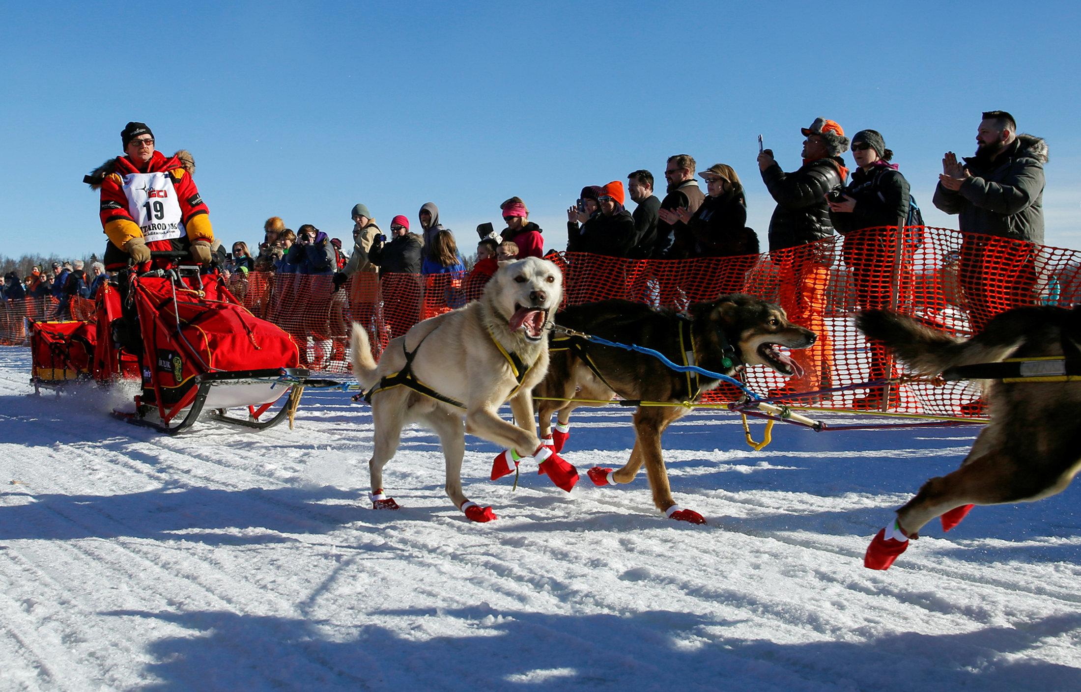 Iditarod winner is oldest, fastest in dog sled race history GMA News