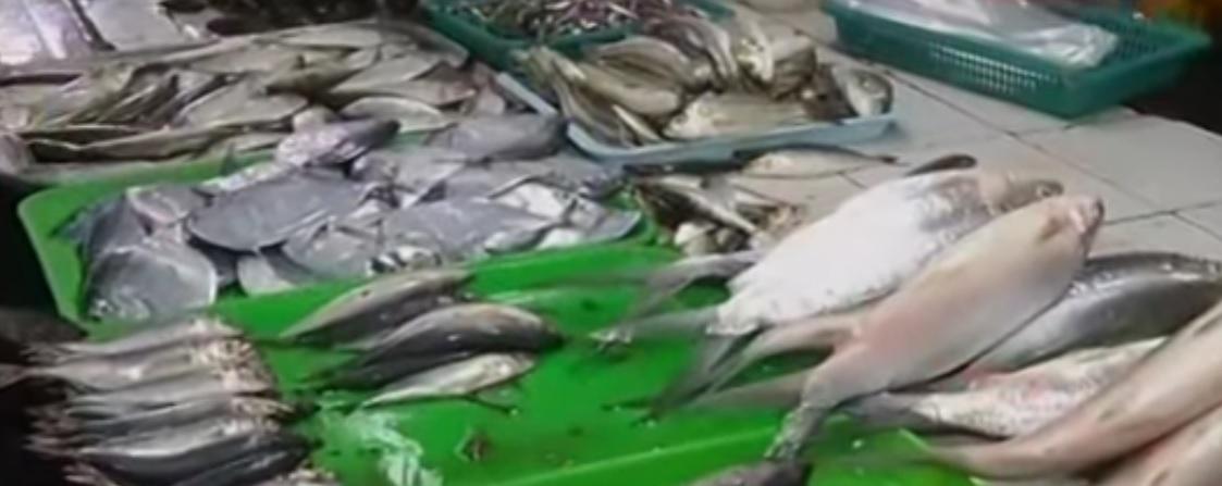 High fish prices yet to go down after Holy Week, blamed on pork ...