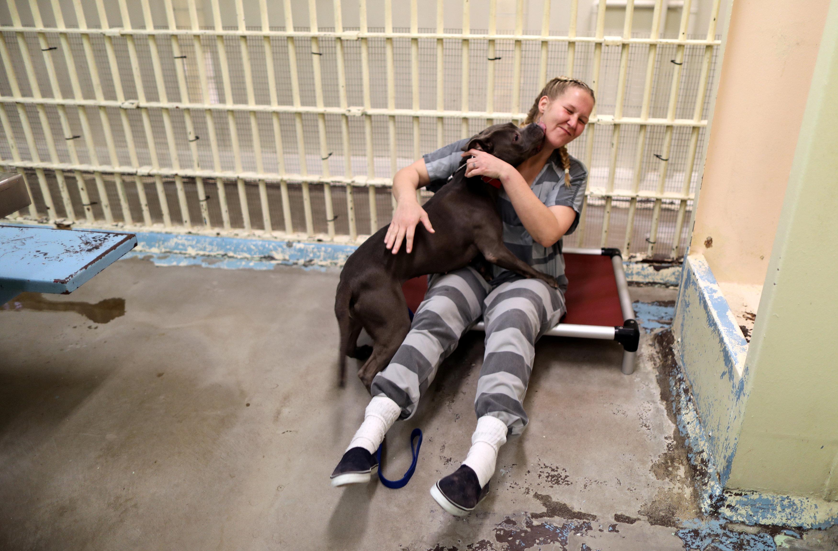 Prisoners care for abused animals as part of rehab program | GMA News ...