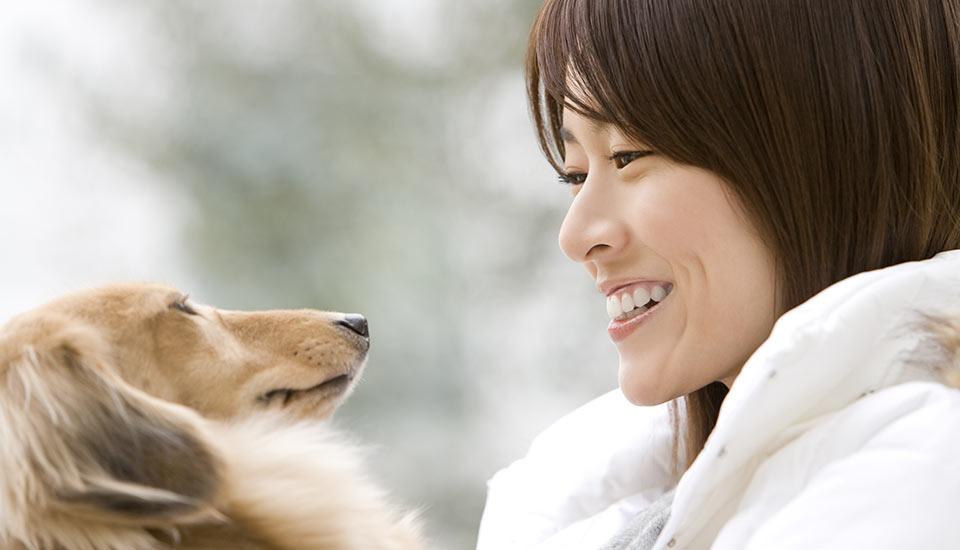 Dogs can distinguish between emotions in a human face, study shows