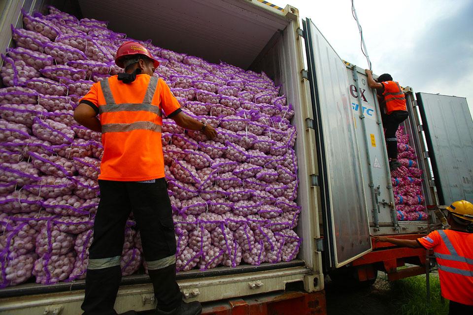 Customs seizes P12M worth of smuggled onions from China GMA News Online