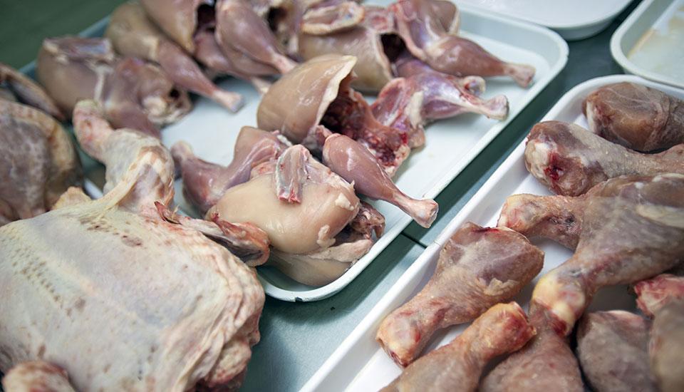 Korea Selatan membersihkan 2 peternakan unggas Filipina untuk mengekspor daging ayam GMA News Online