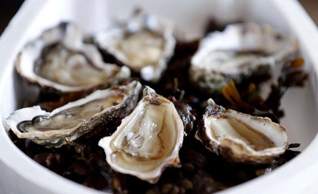 French oyster sales clam up as contamination scare spreads