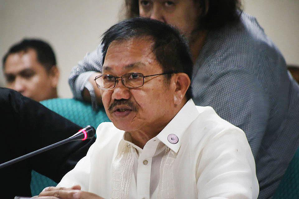 DA to cull more than 150,000 more chickens | GMA News Online