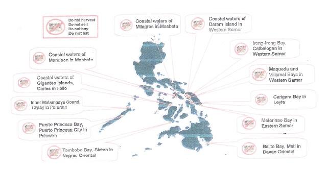 Shellfish ban up in 8 Visayas provinces | GMA News Online