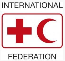 Red Cross marks record numbers of humanitarians killed in 2024