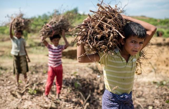 Children gather firewood to use for cooking in Kutupalong camp, Ukhia, Bangladesh. Parts of the surrounding forests had to be cleared with the arrival of over 400,000 refugees in this camp alone. Atom Araullo