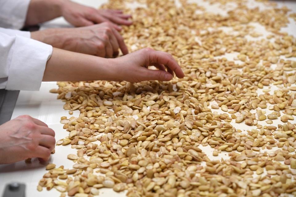 Nuts may boost male fertility — study GMA News Online