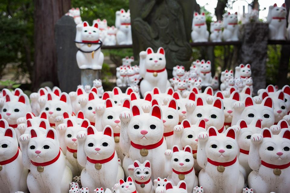 Cat snap: Tokyo ‘lucky cat’ temple draws Instagrammers | GMA News Online