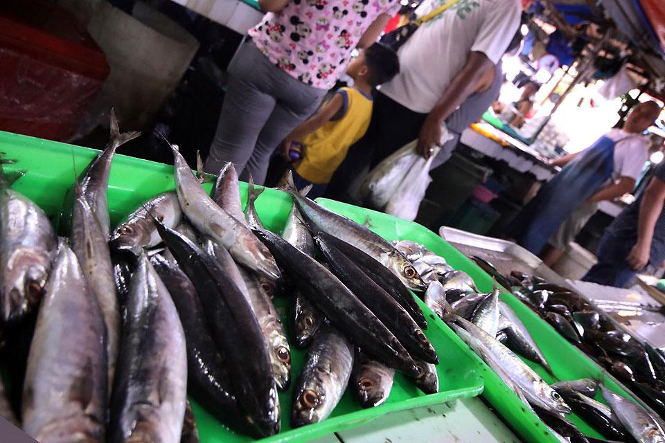 Annual fishing ban boosted PH galunggong stocks, BFAR says