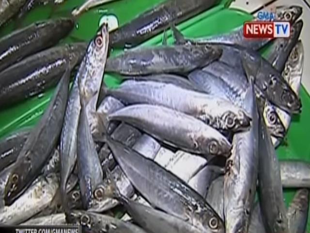 Bfar Tests Show Galunggong Samples Not Injected With Formalin Gma News Online 3177
