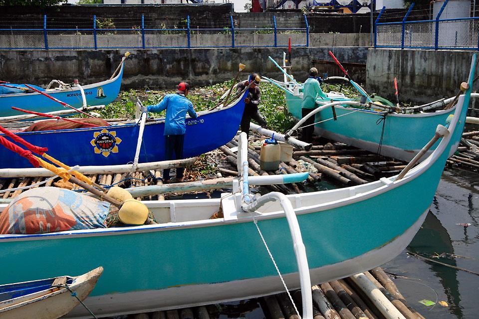 Concerned Filipinos try to turn the tide on fish losses │ GMA News Online