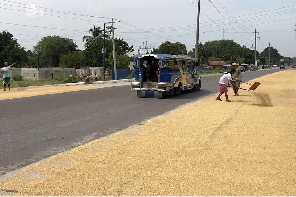 Senators tell DPWH to resolve palay-drying issue | GMA News Online