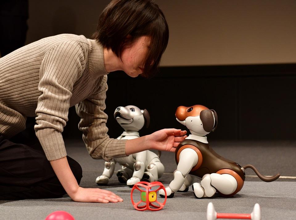 Sony says it has technology for humanoid robots, just looking for use