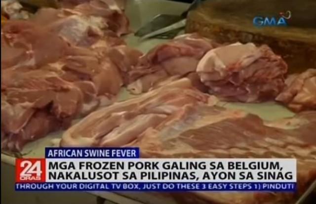 Sintomas ng african swine fever Sintomas ng african swine fever