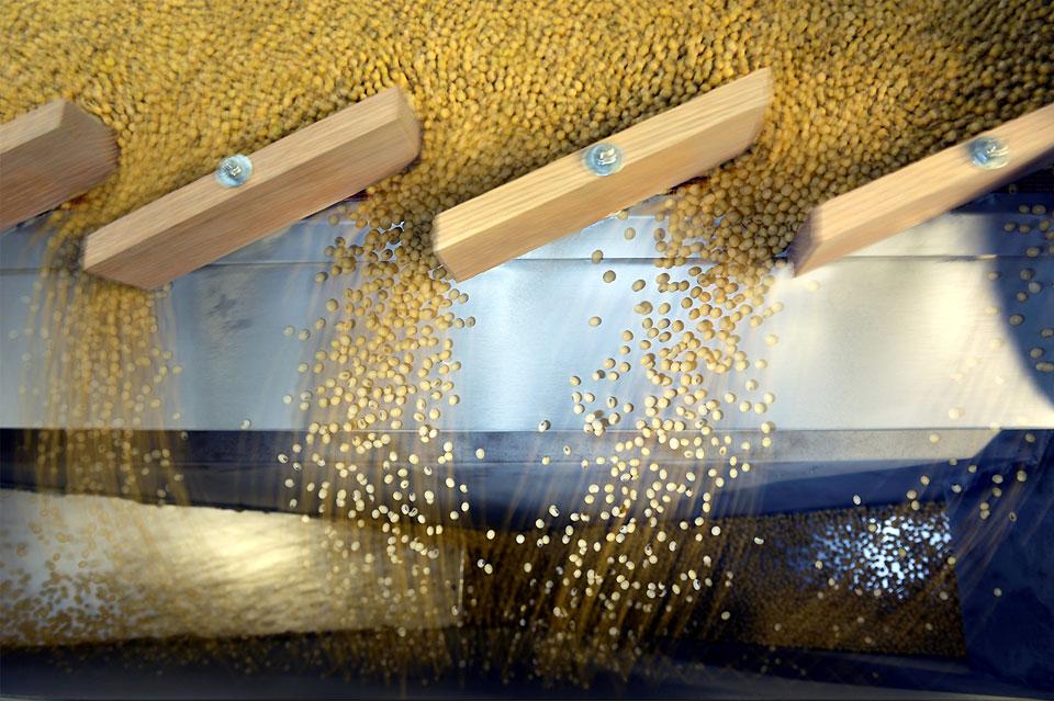 PH soybean meal imports expected to rise by 10% — USDA
