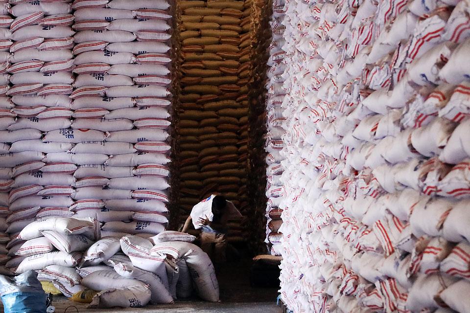 Farmers file petition vs. EO lowering tariff for rice