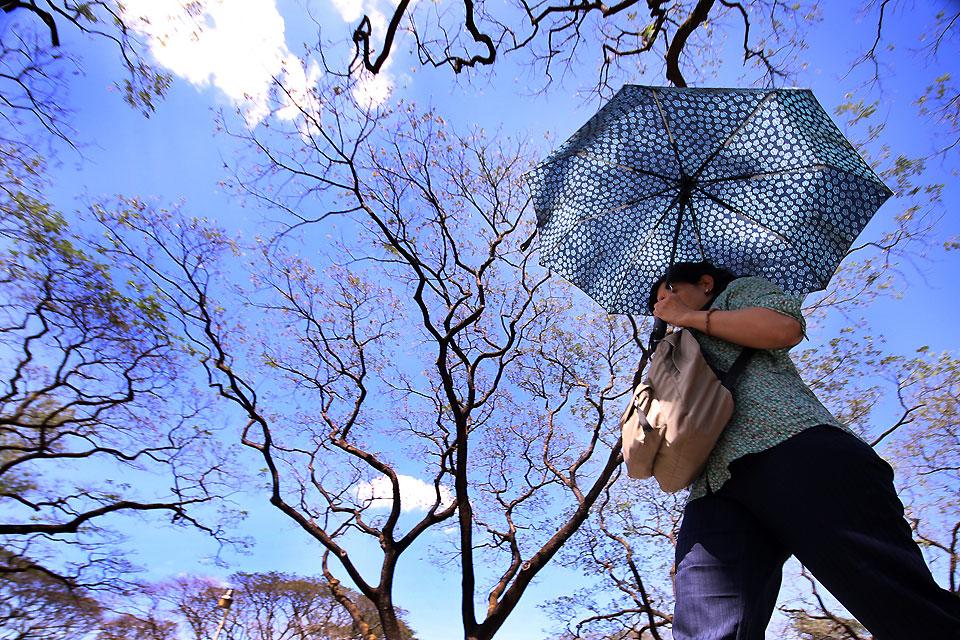 What a record-breaking El Niño could mean for the world