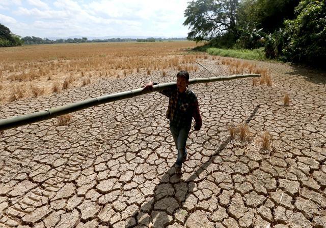 Dry season hits Davao del Sur, Mindoro Occidental worst —NIA