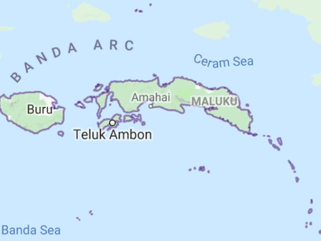 Indonesia volcano erupts, forcing airport to close