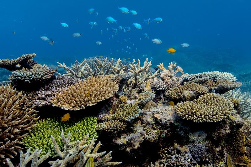 Nations advance ocean protection, vow to defend seabed