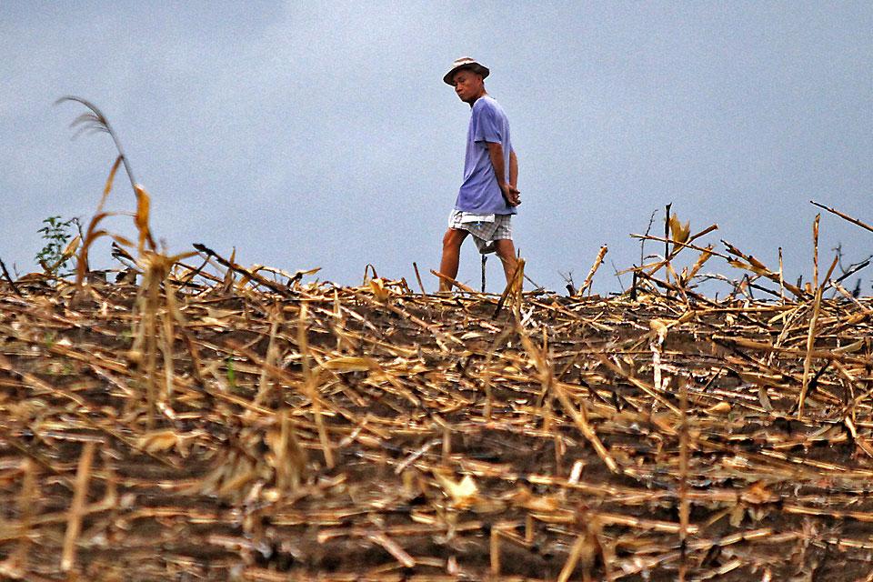 Disasters cause $3.8 trillion in crop losses over 30 years — FAO