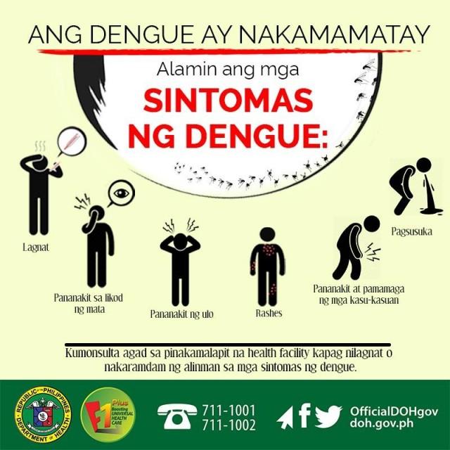 Four simple steps to protect yourself from dengue | GMA News Online