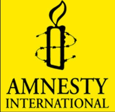 Gov't using social media vs freedom of expression, protest --Amnesty Int"l