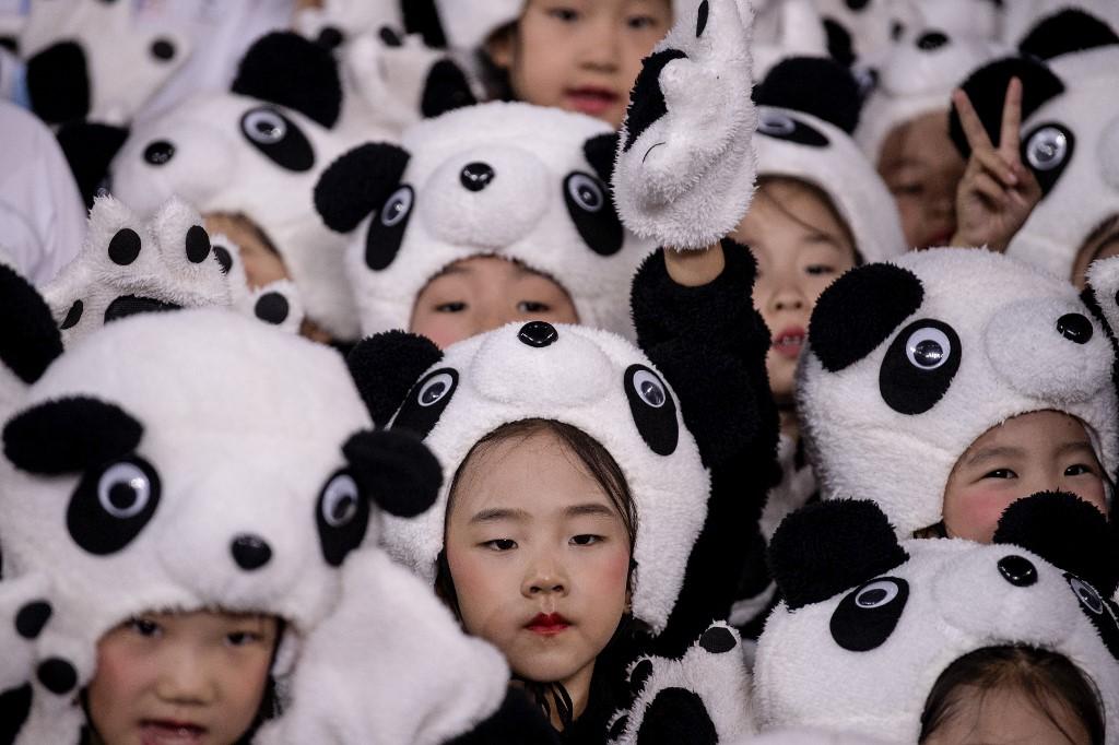 China chooses panda as Winter Olympics mascot