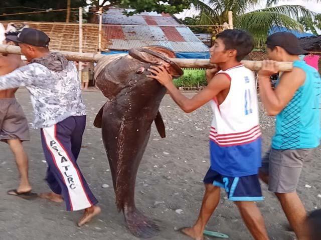 Photo courtesy of Che Calay