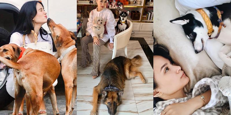 7 photos that show Heart Evangelista is a good hooman to her loving ...