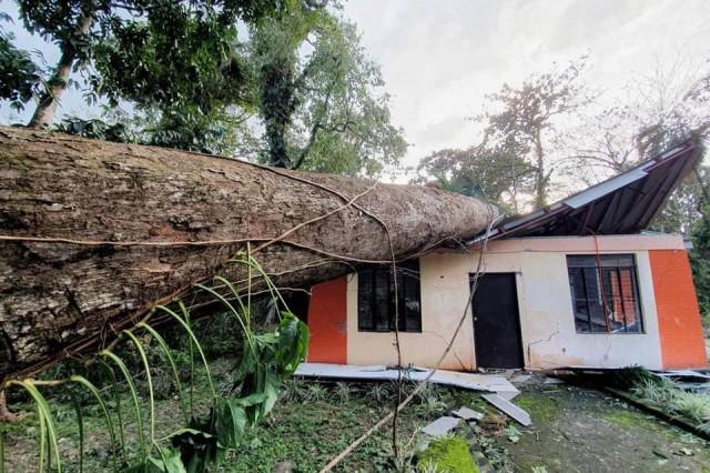 Photos by Rio Paliza