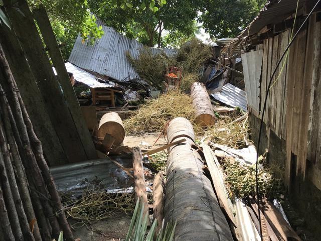 Photos by Peewee Bacuño