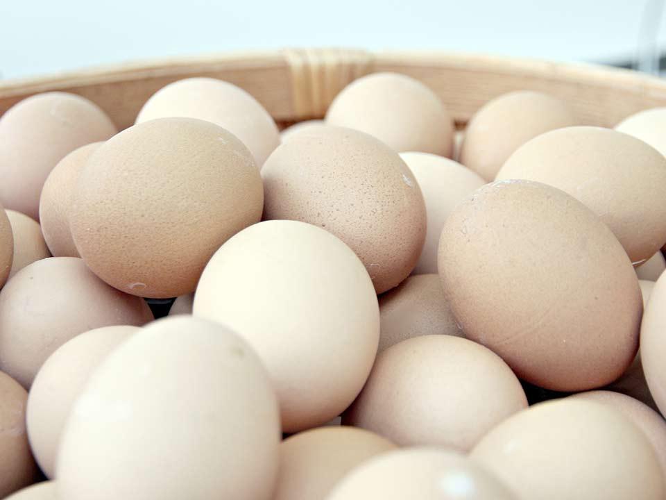 DA menentukan apakah trend harga telur yang tinggi akan terus berlanjut