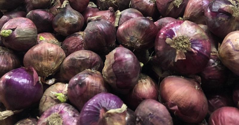 Red onion SRP per kilo at P250, says Agri department circular