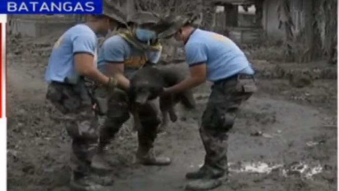 Farm animals, pets left to fend for themselves on Taal's Volcano Island