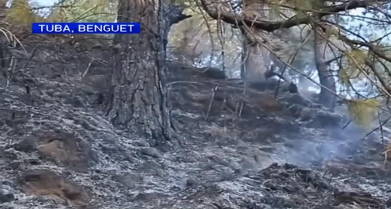 Arson, Discarded Cigarette? Causes Of Pangasinan Grass Fires, Benguet ...