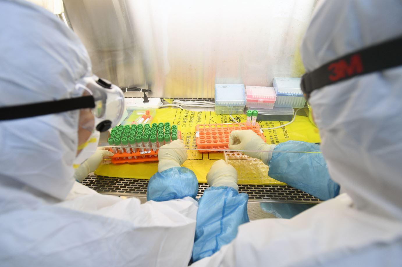 Ученые подтвердили связь смертности от коронавируса с группой крови