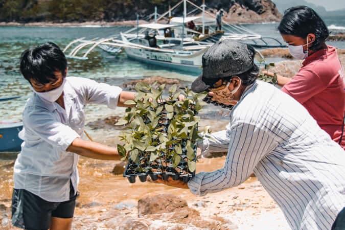 Palawan Agri Farm Helps Indigenous People Turn To Farming Amid Covid 19