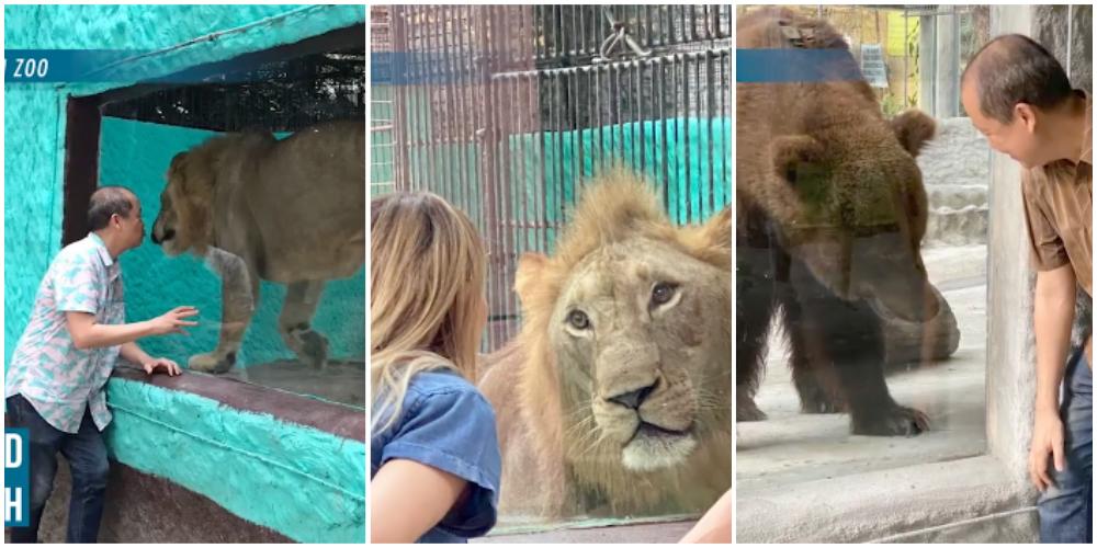 Affected By The COVID-19 Crisis, Malabon Zoo Struggles To Provide Food ...