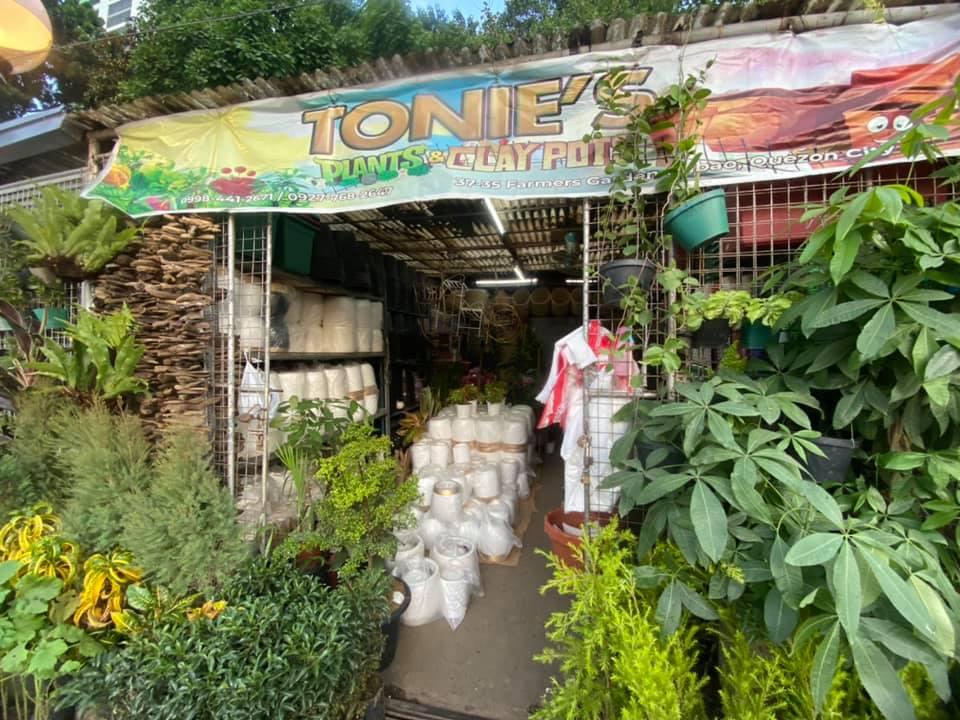 Farmers Market to conduct live selling of plants, gardening tools on